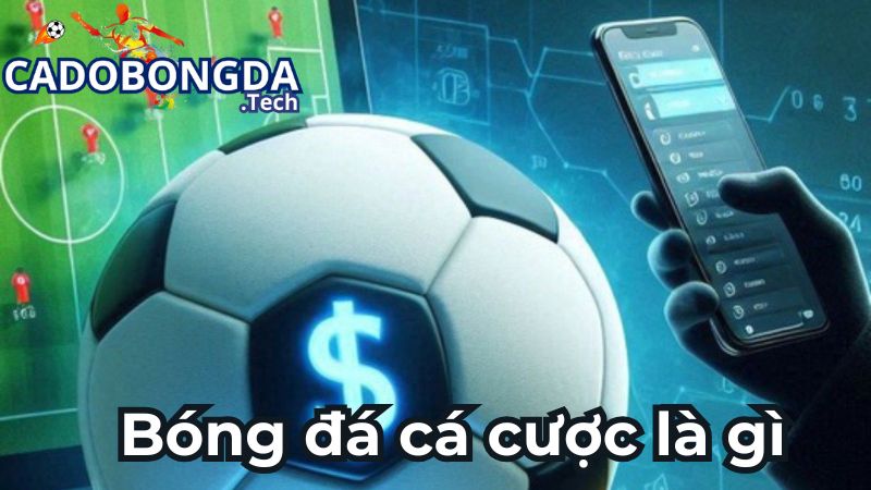 Tìm hiểu về bóng đá cá cược