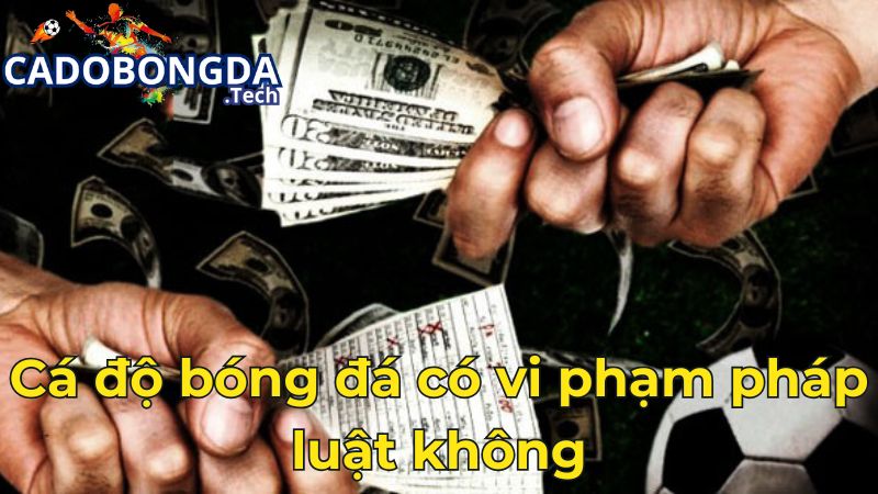 Cá độ bóng đá có vi phạm pháp luật không?