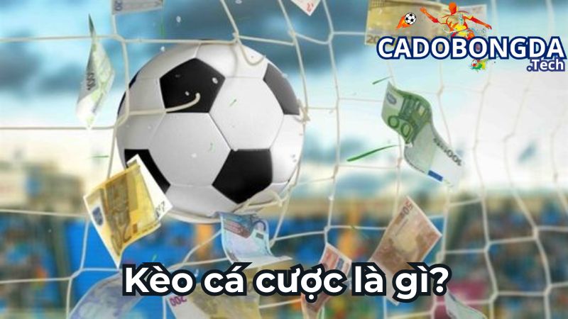 Kèo cá cược bóng đá