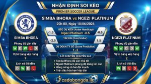 Nhận định soi kèo Simba Bhora vs Ngezi Platinum 20h 00 ngày 10/06/2026 – Premier Soccer League