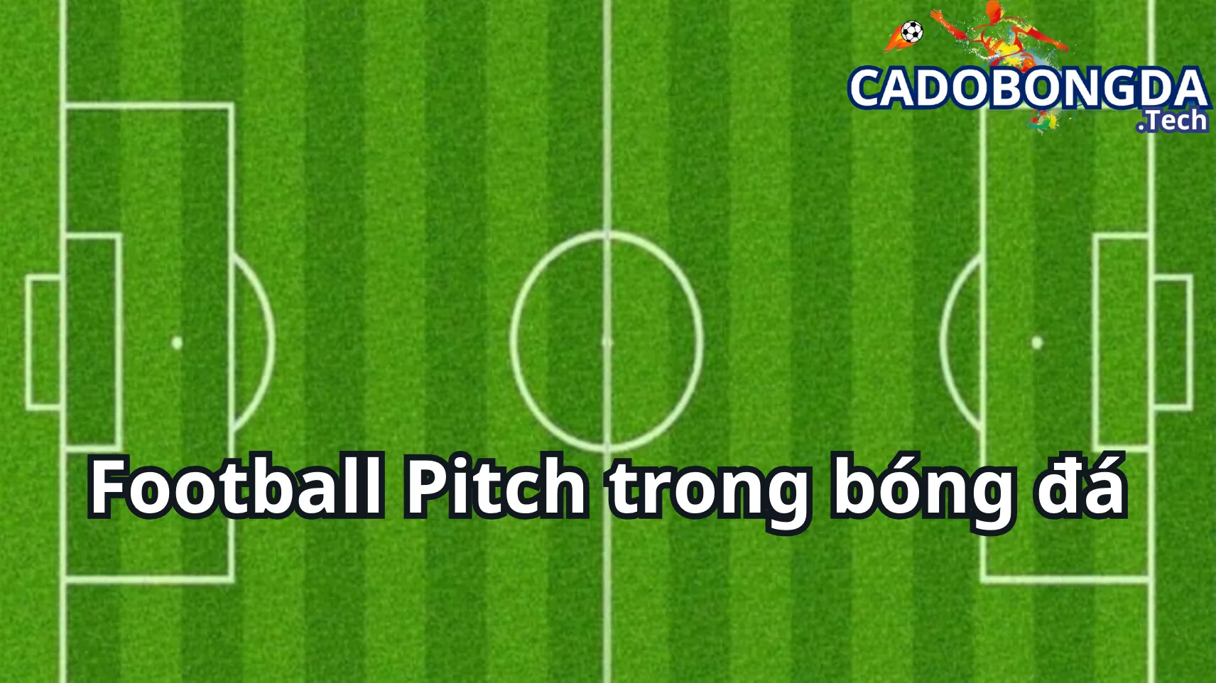 Đôi nét về Football Pitch trong bóng đá