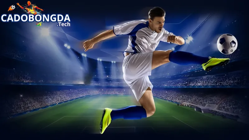 Những tính năng có tại Cadobongda.tech Những tính năng có tại Cadobongda.tech