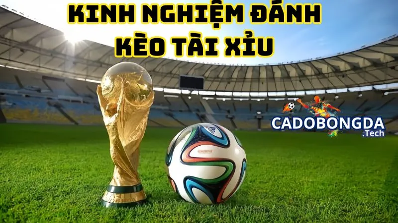 Cách đánh Tài Xỉu bóng đá bất bại